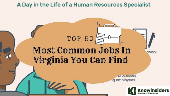 Top 50 Most Common Jobs and Average Salary In Virginia 2023/2024