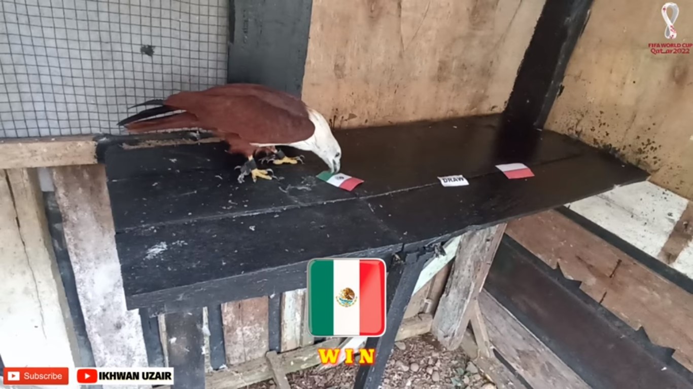 World Cup Prediction: Super Turtle and Eage Predict Mexico vs Poland