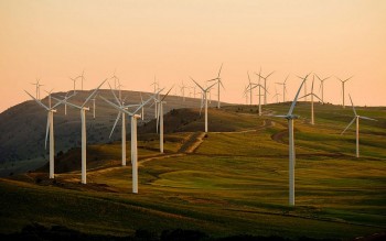 Top 14 Largest Wind Farms in the World - Clean Energy Giants