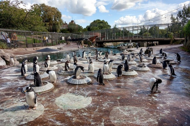 Top 12 Biggest Zoos in Europe Based on Area You Should Visit
