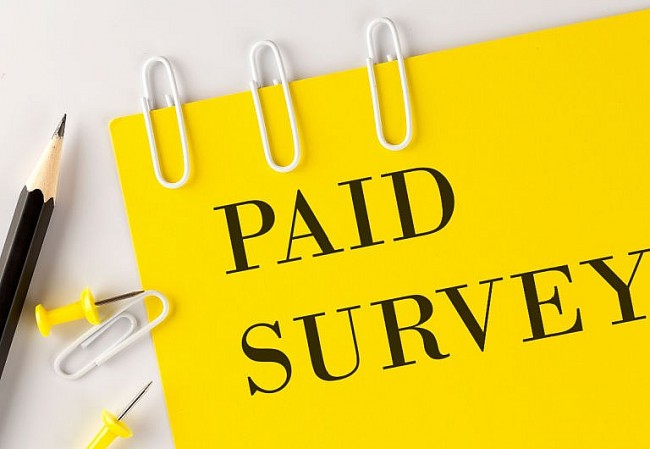 30+ Best Online Sites Where You Can Get Paid By Completing Surveys