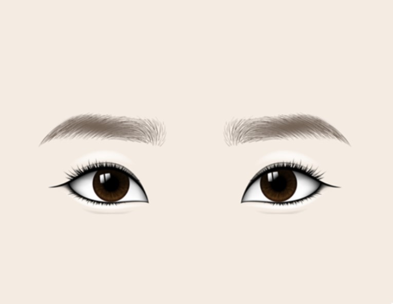 10 Eyebrow Styles Reveal Women's Personality and Destiny, According to Physiognomy