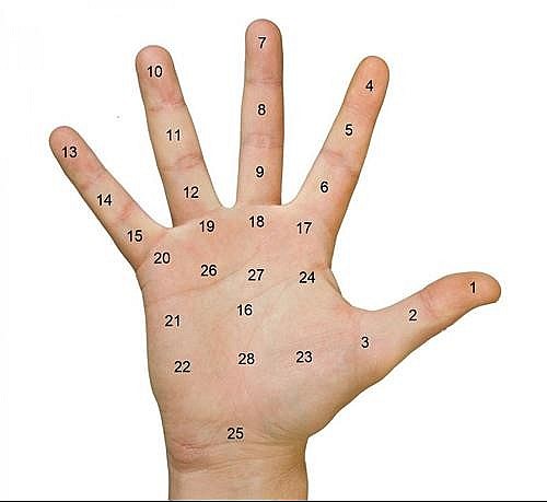 Meaning of Moles on Hand Based Location - Palmistry Handbook