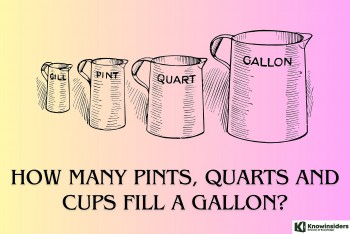 How Many Pints in a Gallon? Easy Conversion Tricks You’ll Never Forget!