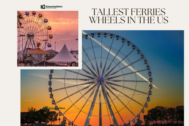 Top 9 Tallest Ferry Wheels in the United States