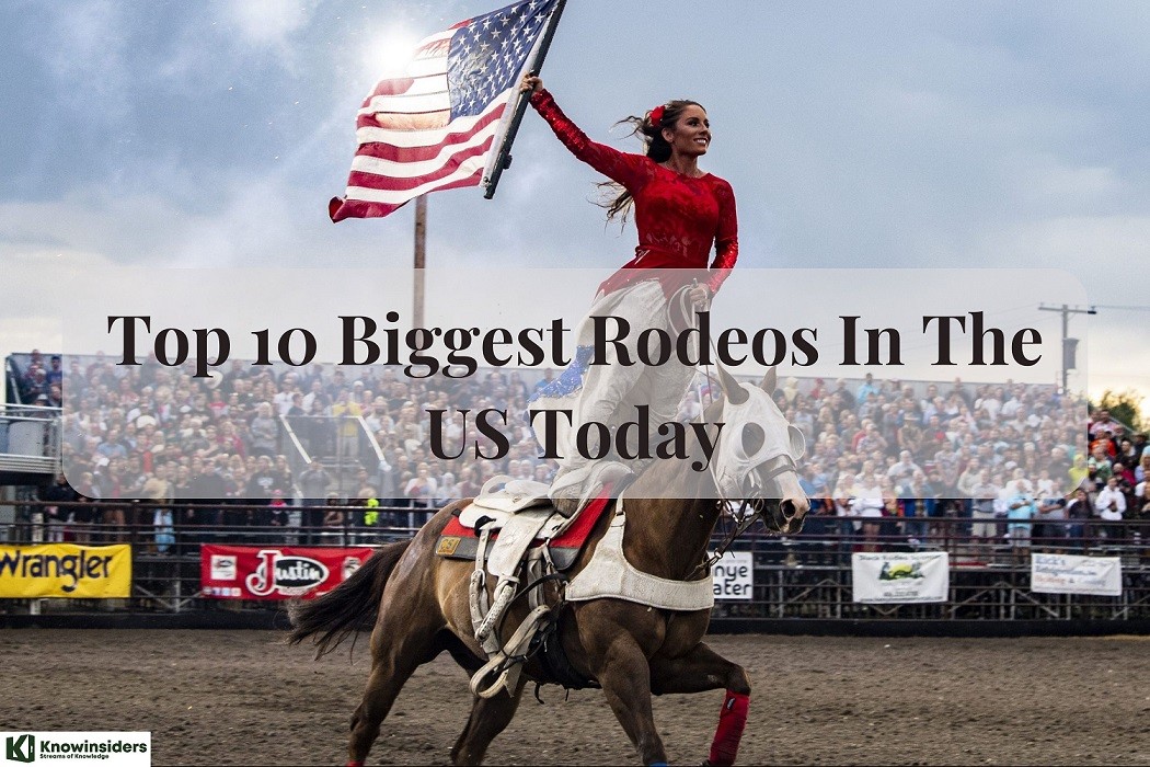 Top 10 Biggest Rodeos with the Most Famous Cowboys in the US