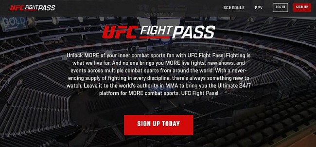 Top 15 Best Free Sites To Watch UFC Online from Anywhere