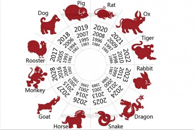 12 Chinese Zodiac Signs in November 2024: Best Astrological Forecast