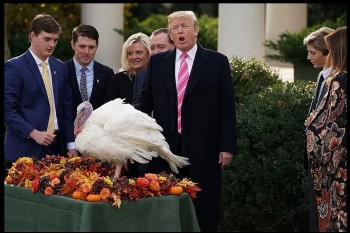 The U.S president’s role in Thanksgiving: A symbol of gratitude and unity