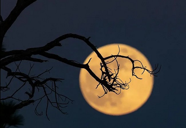 The Full Moon in December 2024: Insights and Significance of Cold Moon