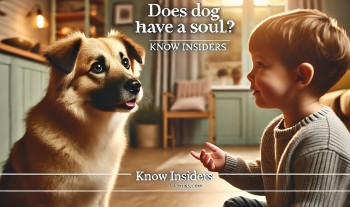 Do Dogs Have Souls? Exploring the Spiritual Bond Between Humans and Pets