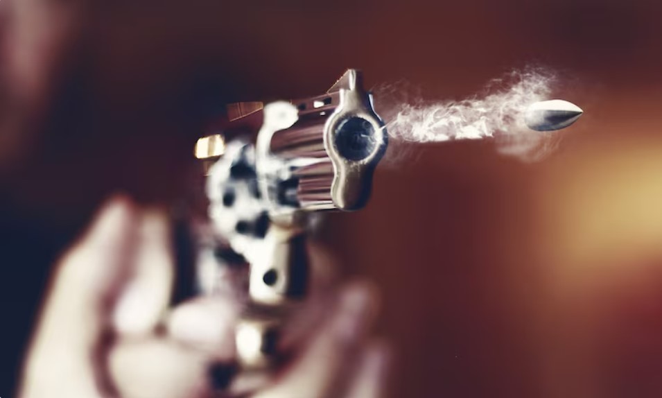 Wisconsin School Shooter Had 2 Handguns