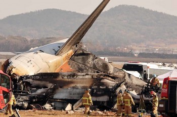 What is the Cause of Jeju Airlines Crash: Bird Strike or Mechanical Failures?