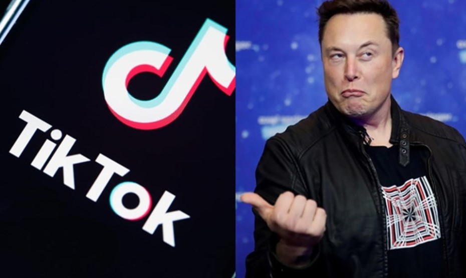 How Much Would TikTok Cost Elon Musk? $50 Billion to $60 Billion