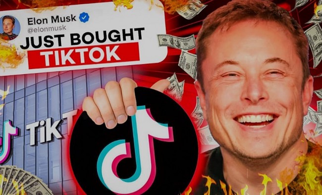 Elon Musk Buying TikTok: 'Pure Fiction'!