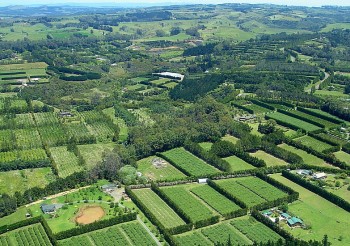 Who Owns America's Farms? The Fight to Block China and Russia