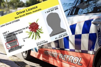 How to Check Demerit Points in Australia: Step-by-Step Guide