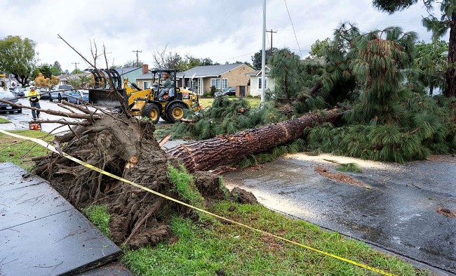 Monster March Storm Unleashes Tornadoes, Snow, and Destruction Across the U.S.