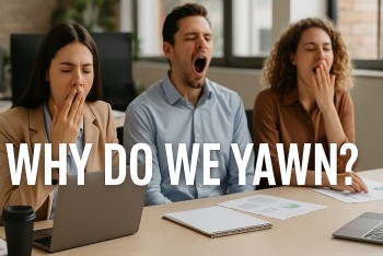 Why Do We Yawn? The Medical and Psychological Truth