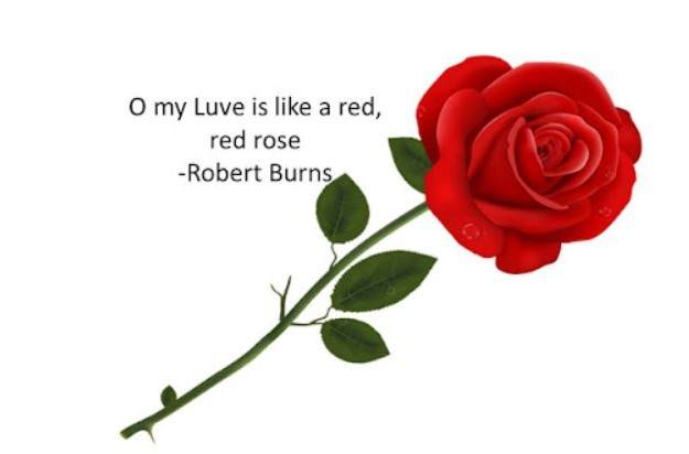 Top 10 Greatest Poetic Quotes About June – A Celebration of Early Summer in Verse