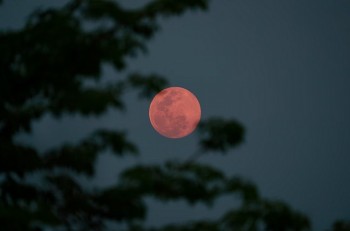 Strawberry Moon 2025: What the June Full Moon Means and How to Harness Its Energy