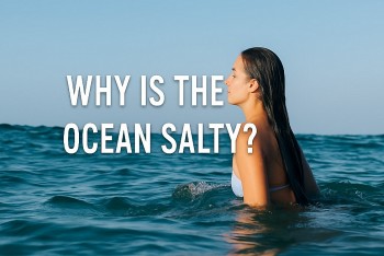 Why is the Ocean Salty But Lakes and Rivers Are Not?