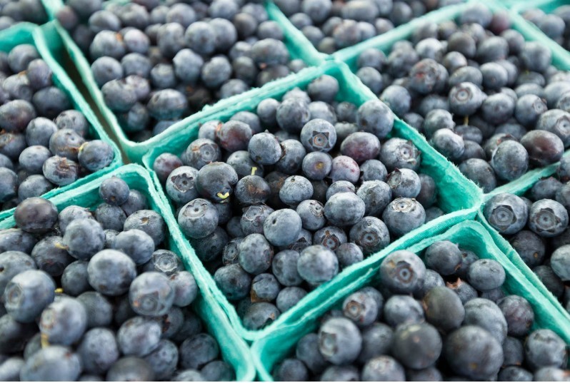Recall Alert: Organic Blueberries May Harbor Dangerous Listeria Strain