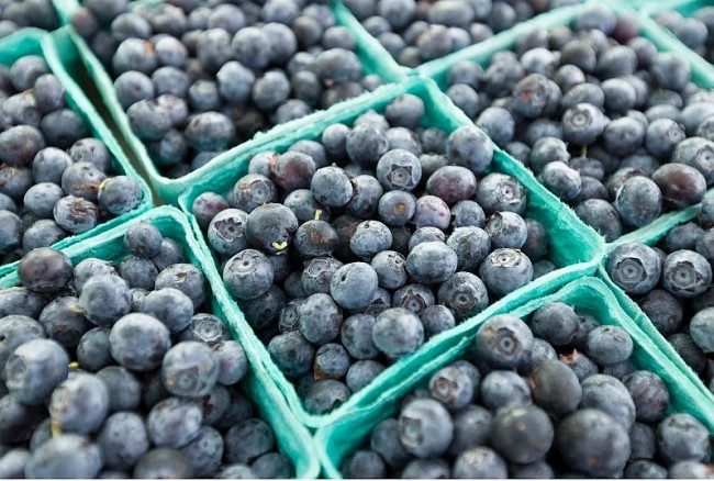 Recall Alert: Organic Blueberries May Harbor Dangerous Listeria Strain