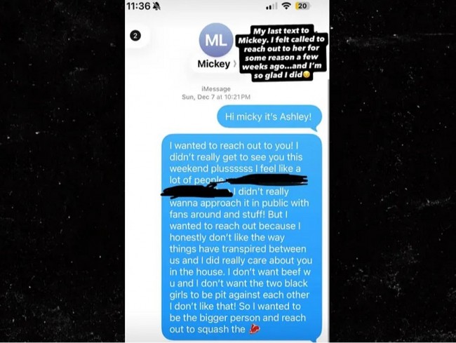 Inside the Final Text: What Ashley Hollis Tried to Say to Mickey Lee Before It Was Too Late