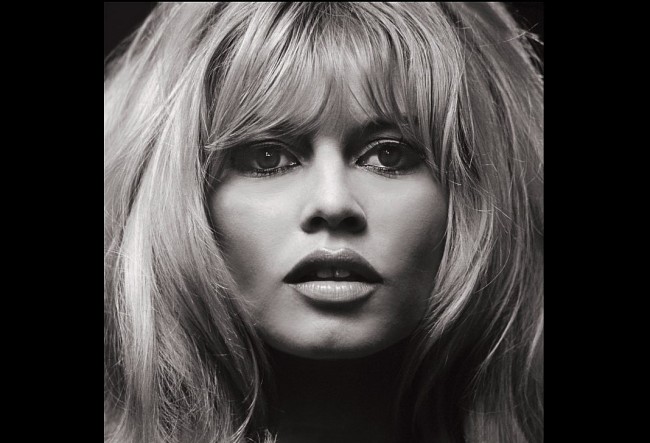 Brigitte Bardot in Her Final Years and Last Hours — A Legacy Beyond the Spotlight