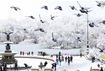 New York Faces Major Winter Storm: When Snow Will Hit, How Much to Expect, and What It Means for the City