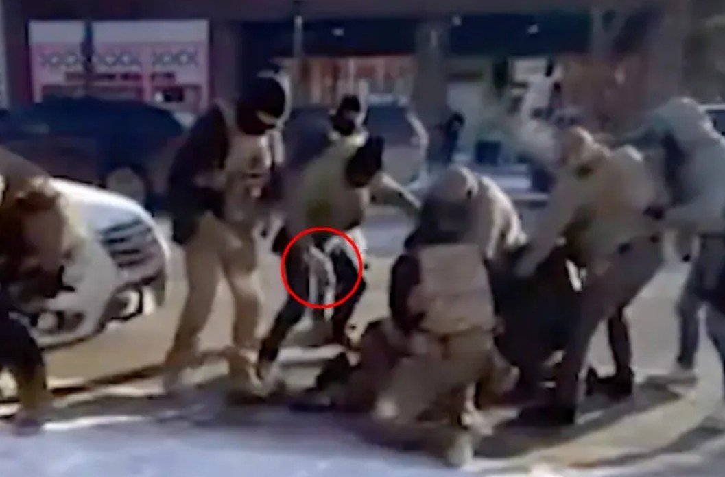 What Really Happened in the Alex Pretti Shooting? Look at the Video Evidence