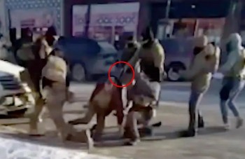 Federal Report Confirms Two Officers Fired in Alex Pretti Shooting