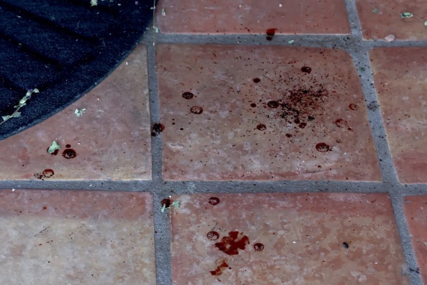 Nancy Guthrie Missing Update: Reported Blood Evidence Raises Alarm in Savannah Guthrie Mother Investigation