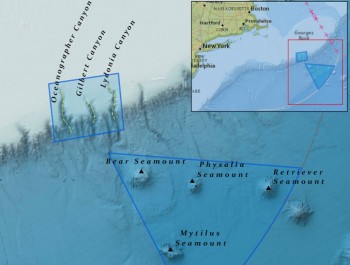 Which U.S. Ocean Areas Are Reopening to Commercial Fishing Under Trump’s Proclamations?