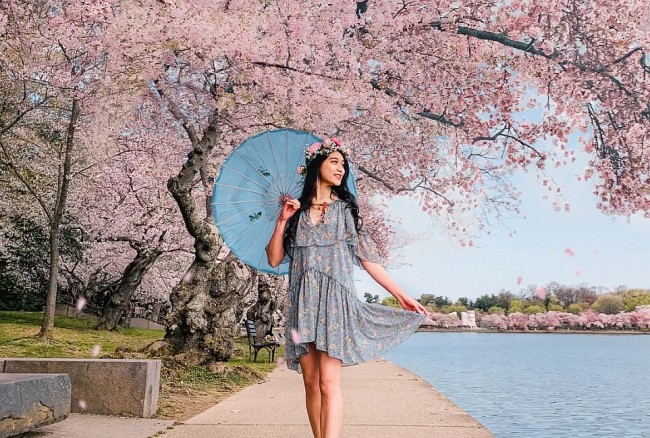 Top 5 Must-See Events at the 2026 National Cherry Blossom Festival