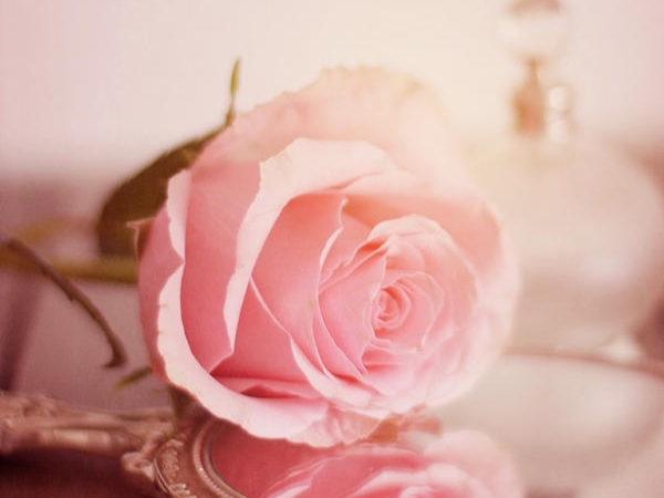 Valentine's Day 2023: 3 Most Gentle and Sweetest Zodiac Signs