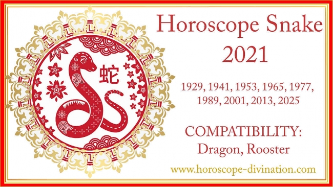 SNAKE Chinese Zodiac Signs 2021: Predictions for Love, Money & Finance and Health