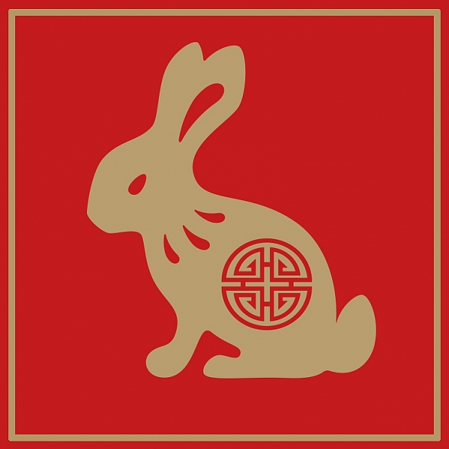 RABBIT Chinese Zodiac Signs 2021: Predictions for Love, Money & Finance and Health