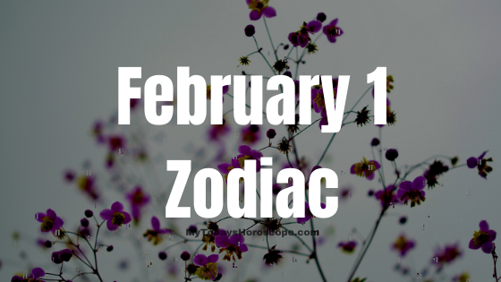 Born on February 1: Zodiac Signs, Horoscope, Personality, Life Destiny by Astrological Predictions