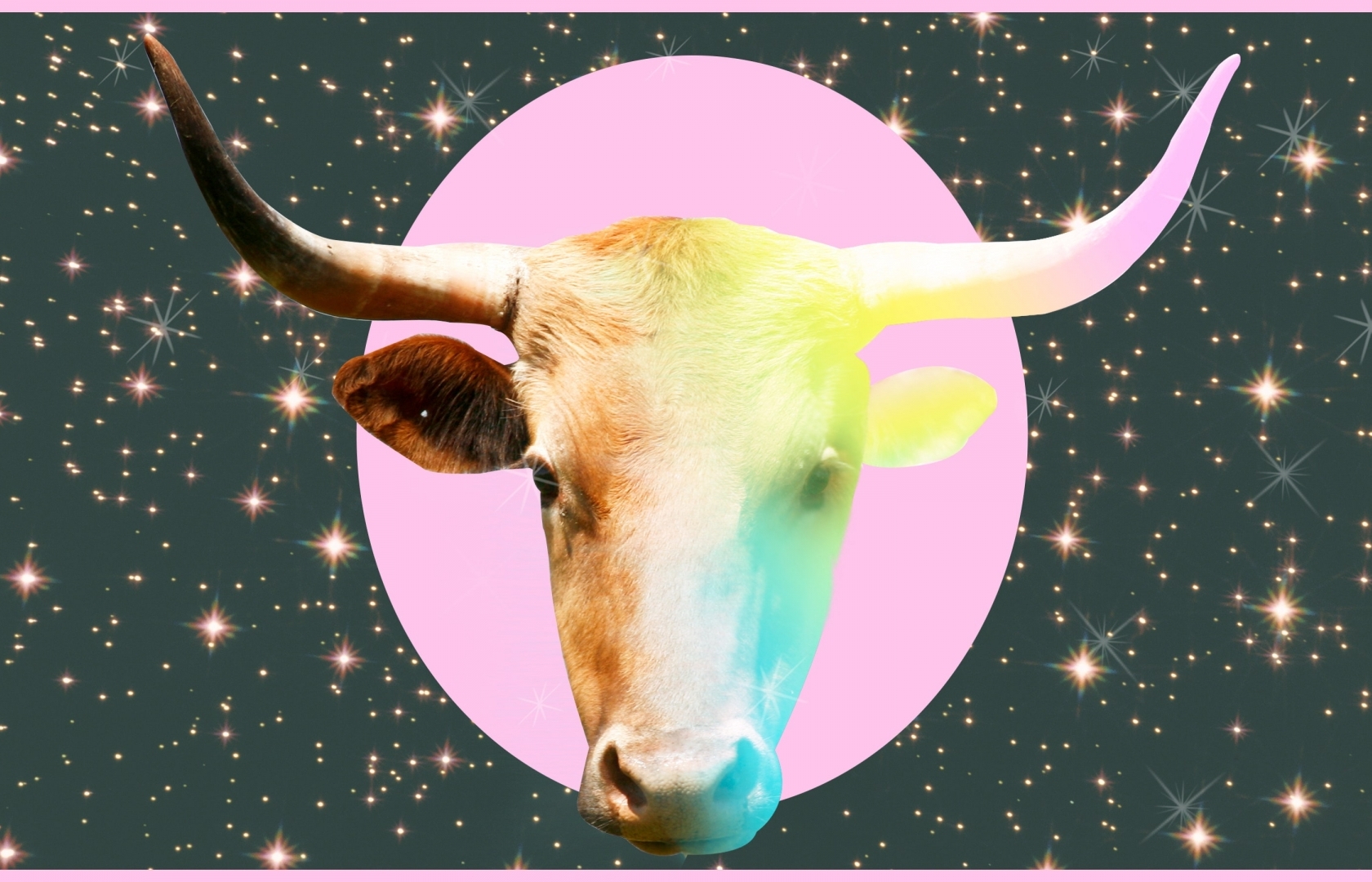 TAURUS April Horoscope 2021: Astrological Prediction for Love, Career, Health and Finance