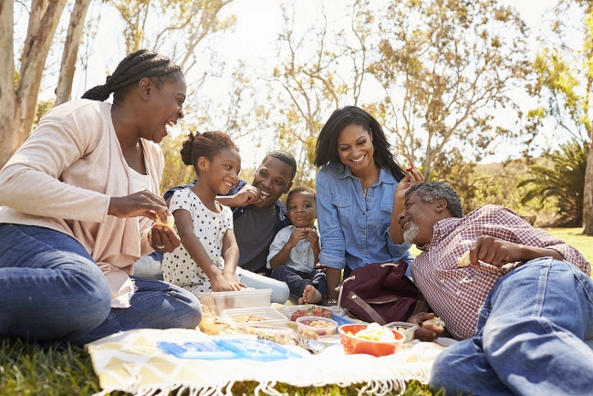 Top 19 Ideal Foods for Picnic Time