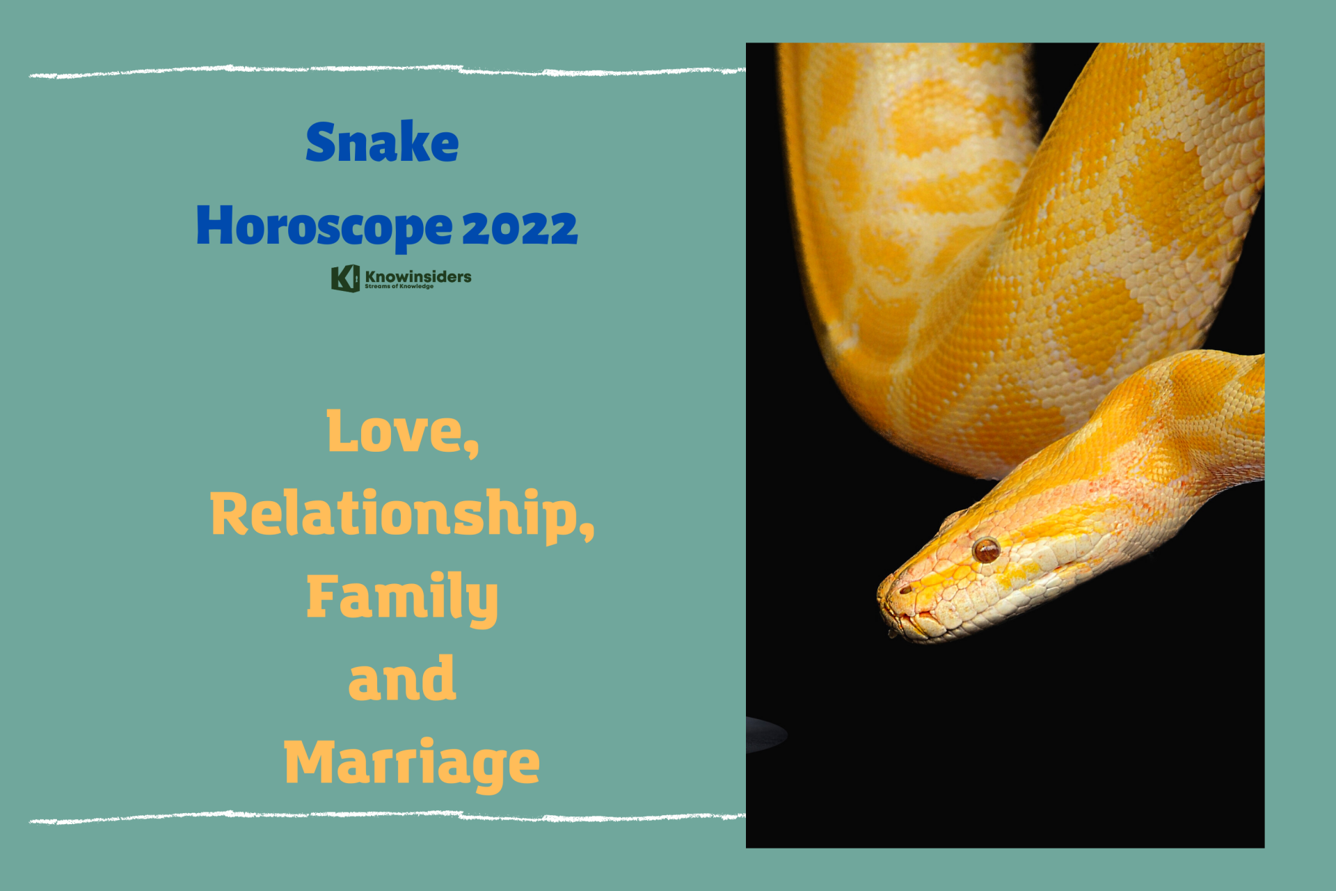 SNAKE Yearly Horoscope 2022 – Feng Shui Predictions for Love, Relationship, Family and Marriage