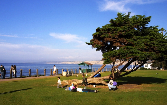 Top 7 Most Breathtaking Places for A Picnic in the US