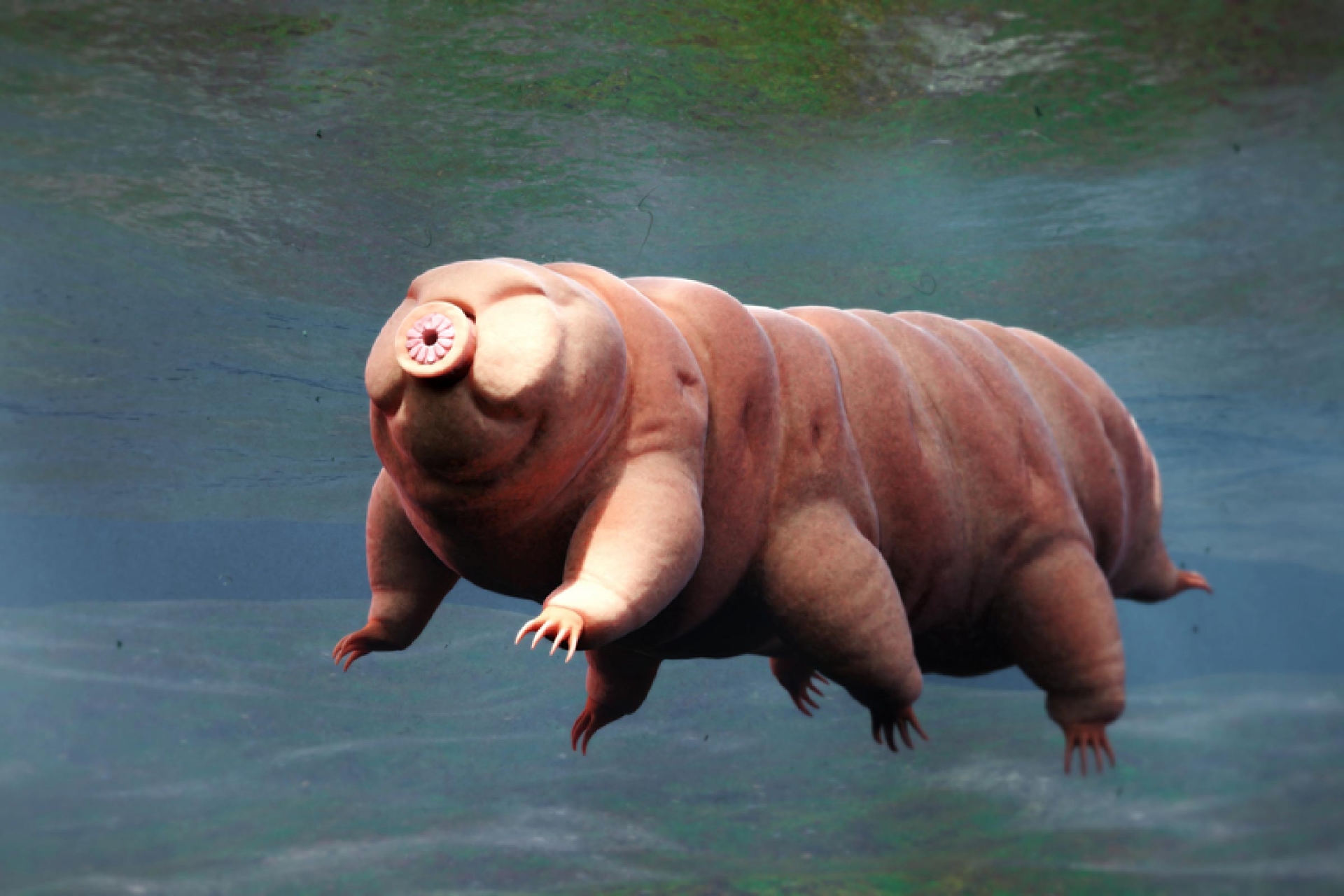 Top 15 Weirdest Animals in the World That Still Exist Today