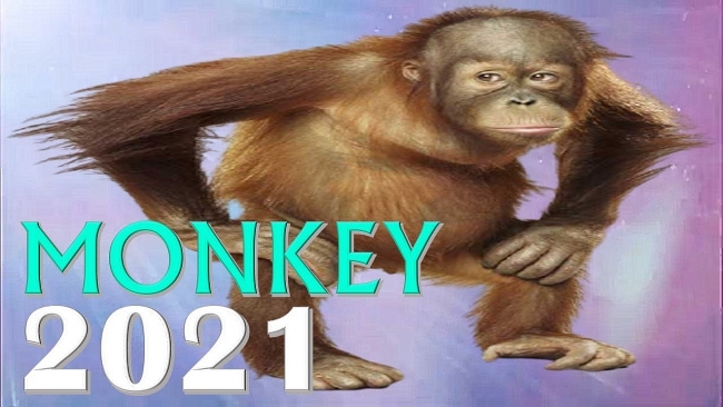 MONKEY Horoscope January 2021- Best Predictions for Women and Men