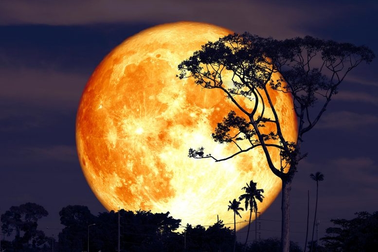 Calendar for Full Moon 2021: Names, Dates and Time