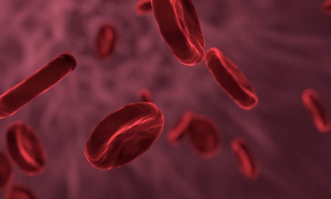 20 Amazing Facts About Blood in Your Body