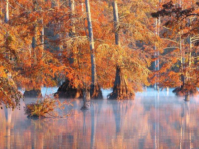 TOP 7 Best Destinations in Mississippi for Tourist