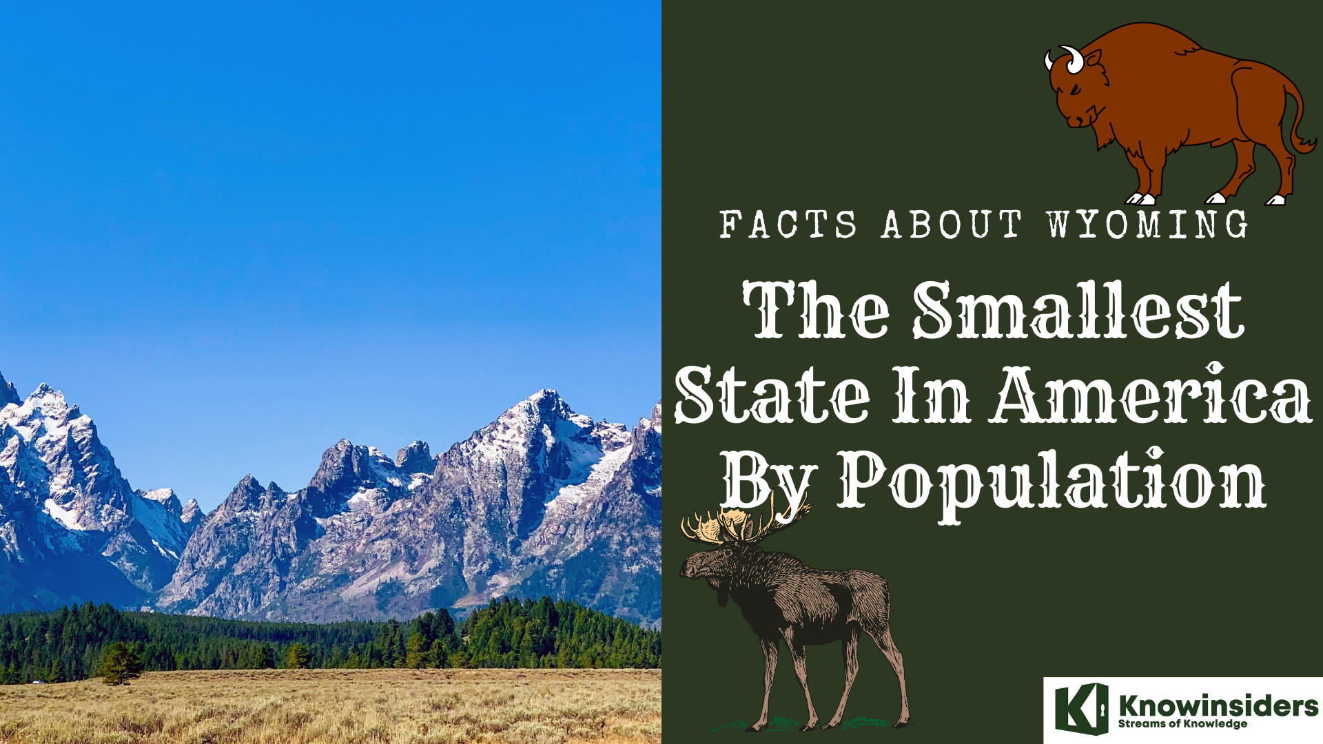 What are the Smallest State by Population in the U.S: Wyoming's Amazing Facts